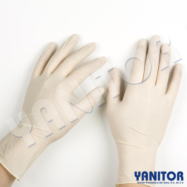 GLOVE LATEX LRG-PF WHITE 100
